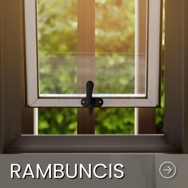 Rambuncis